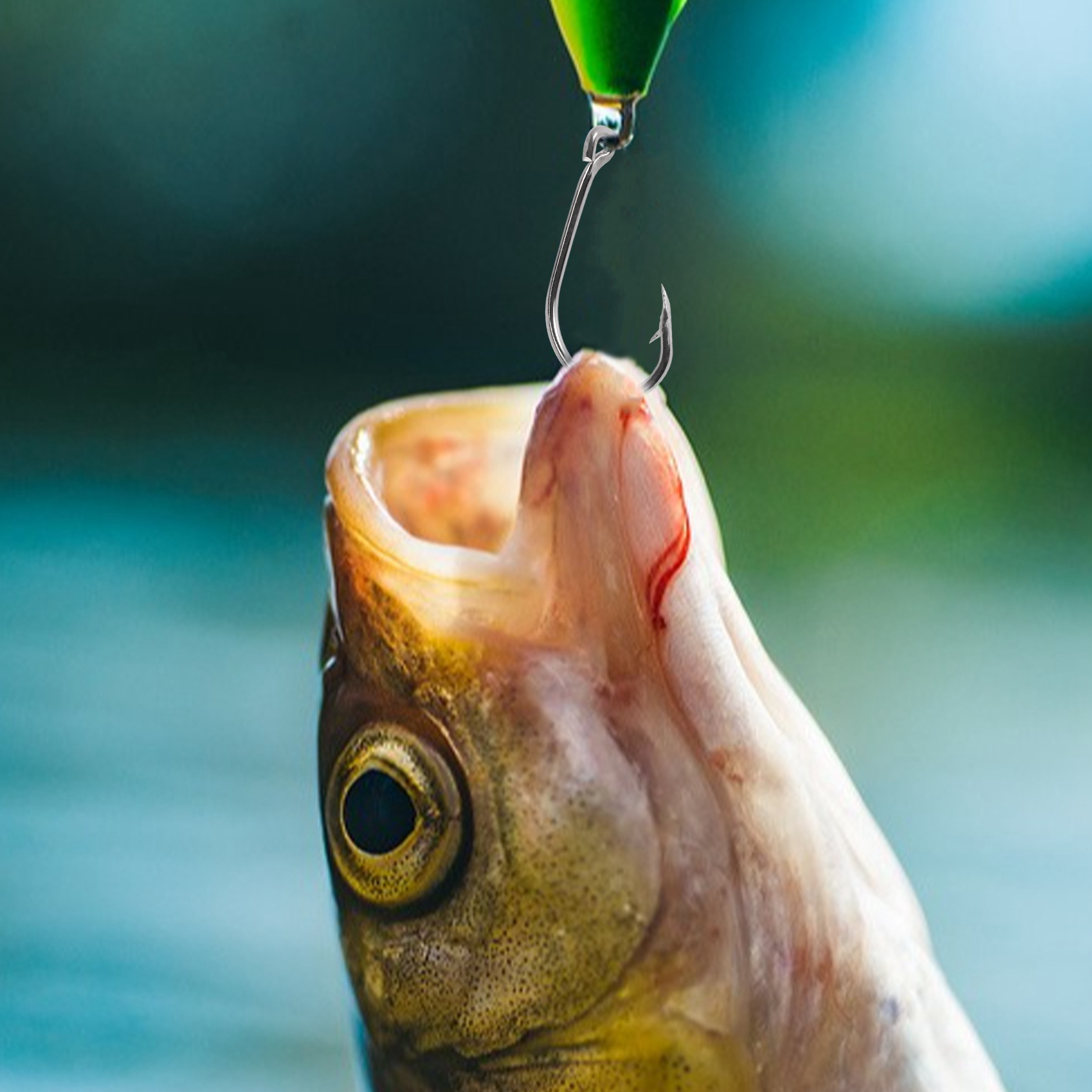 Neu eingetroffen: 500 Stück/Se – Fishing Hook Box Bewertung und Preis