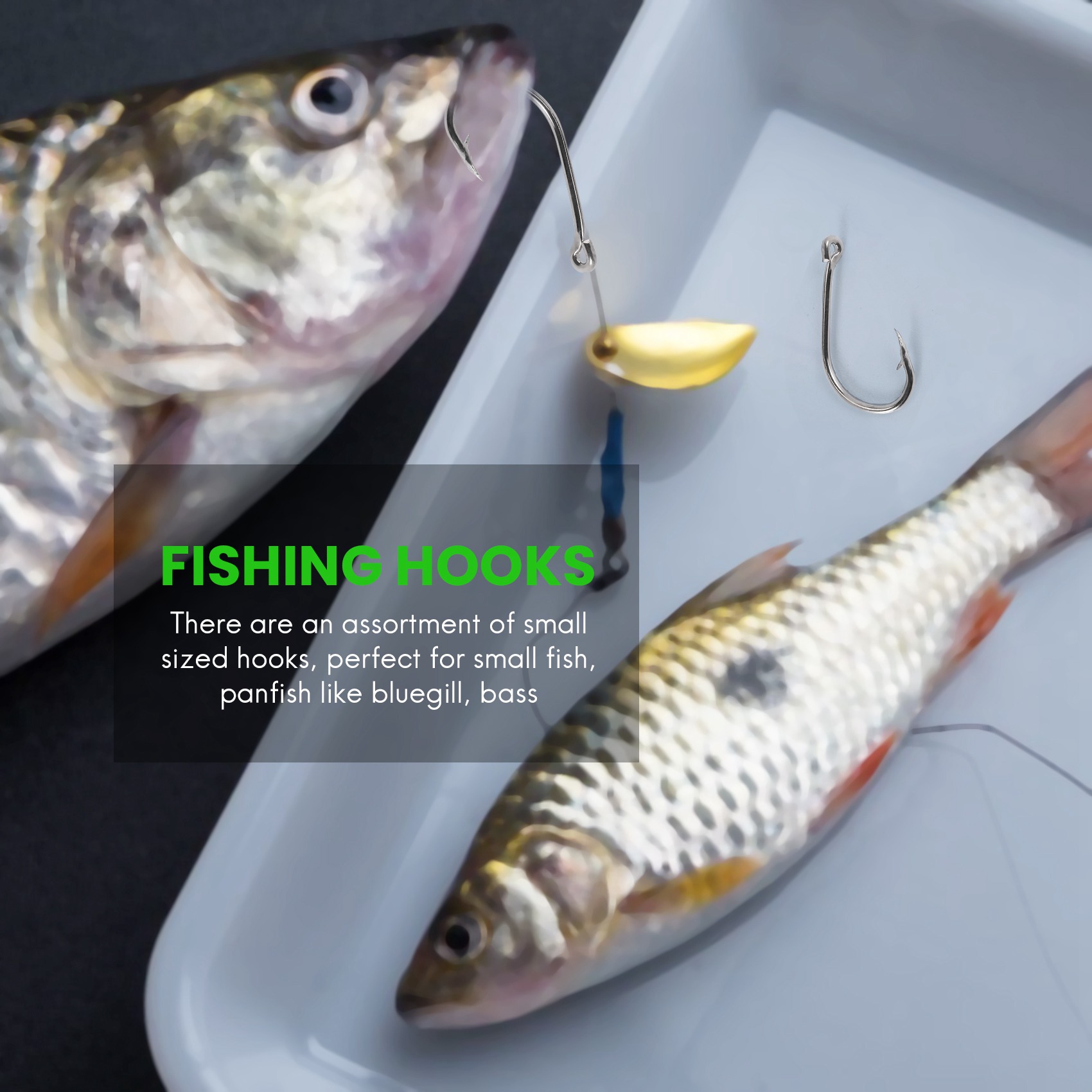 Neu eingetroffen: 500 Stück/Se – Fishing Hook Box Bewertung und Preis